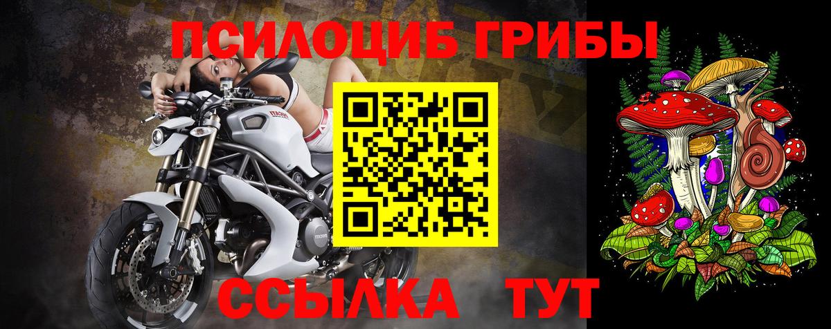 Кострома  Псилоцибиновые грибы Cubensis  Вход с VPN 