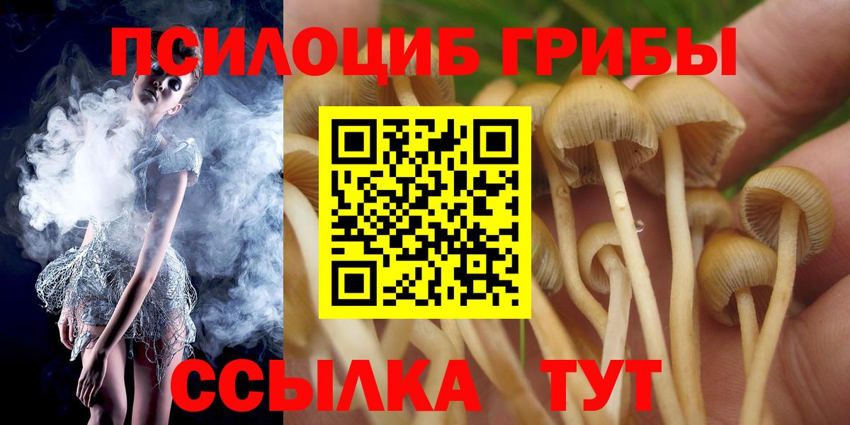 Псилоцибиновые грибы прущие грибы Кострома